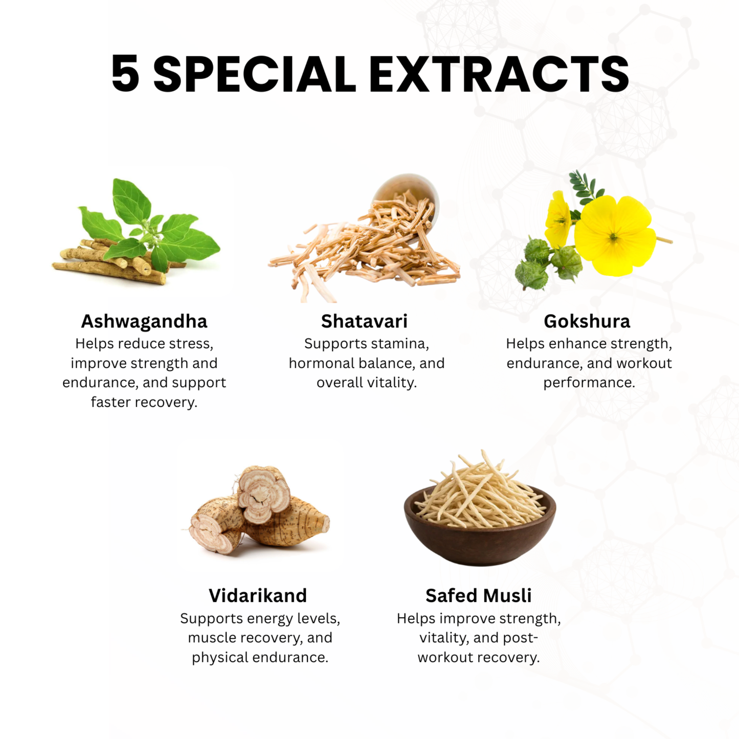 Whey Cafe Mocha| 1KG | ISOLATE + CONCENTRATE + HYDROLYSATE | 30 SACHETS