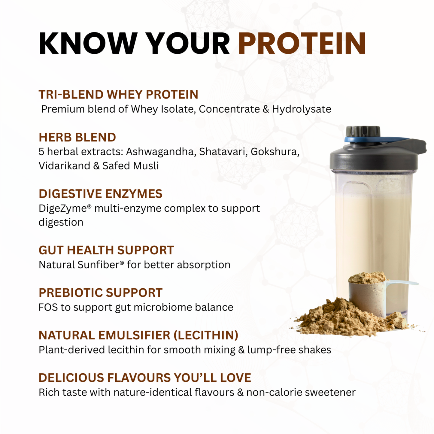 Whey Cookies & Cream | 1KG | ISOLATE + CONCENTRATE + HYDROLYSATE | 30 SACHETS