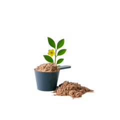Gokshura (Tribulus Terrestris)